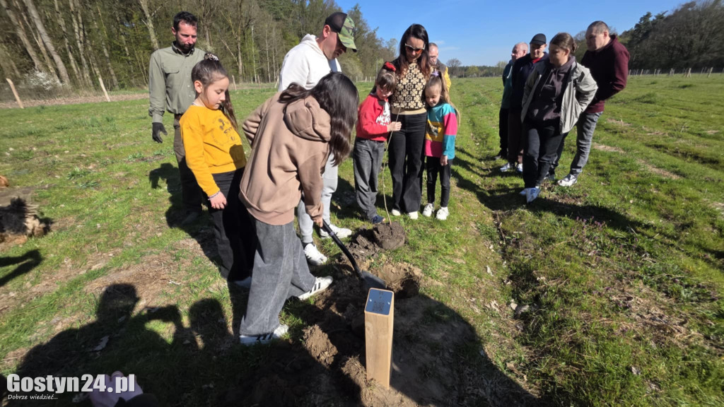 Sadzenie drzew w Lesie Dobrych Wspomnień