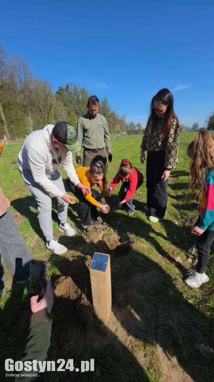 Sadzenie drzew w Lesie Dobrych Wspomnień
