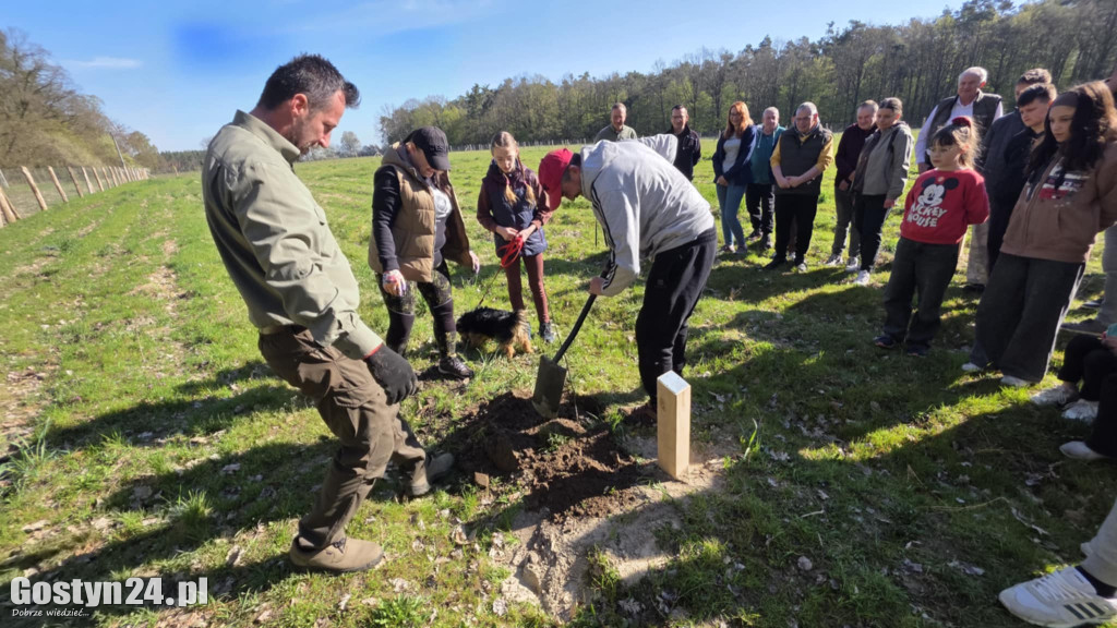 Sadzenie drzew w Lesie Dobrych Wspomnień