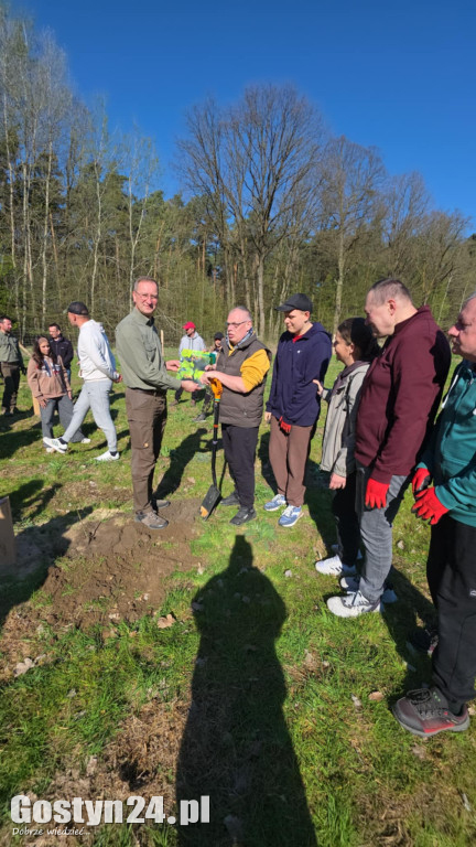 Sadzenie drzew w Lesie Dobrych Wspomnień