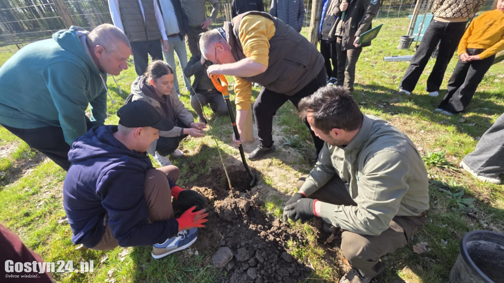 Sadzenie drzew w Lesie Dobrych Wspomnień