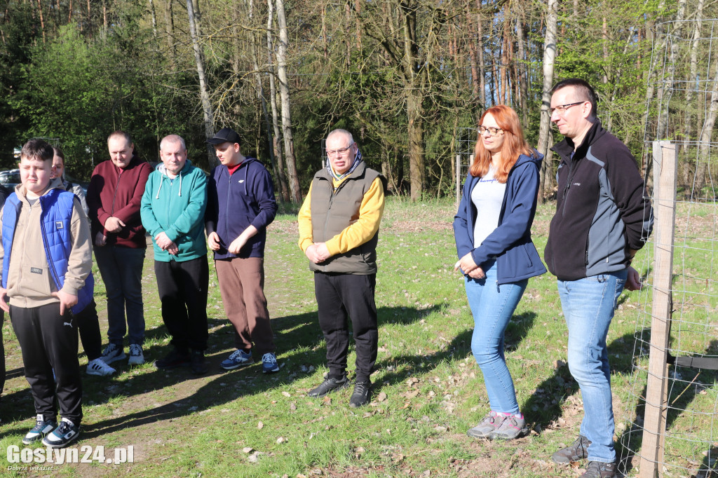 Sadzenie drzew w Lesie Dobrych Wspomnień
