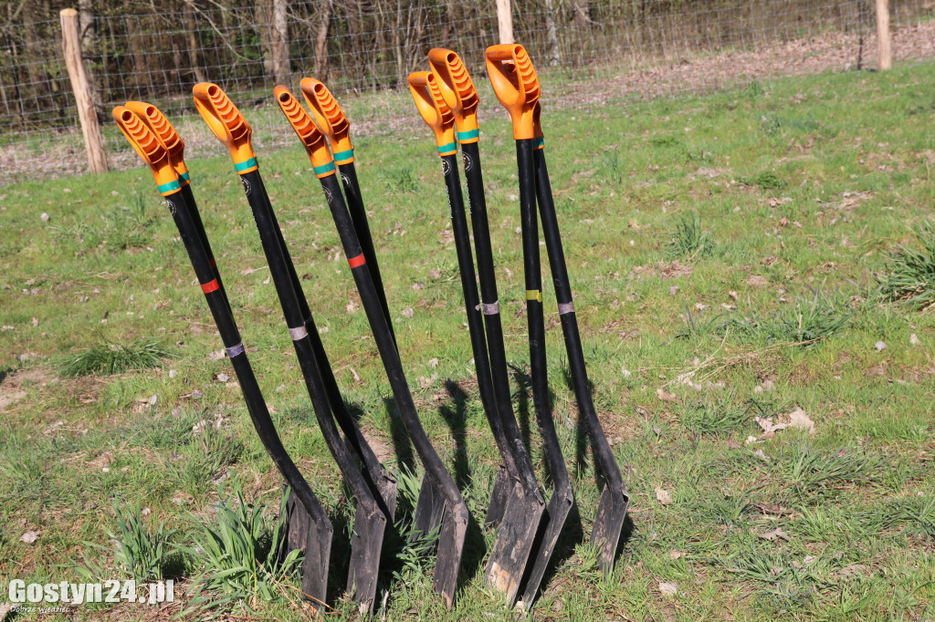 Sadzenie drzew w Lesie Dobrych Wspomnień