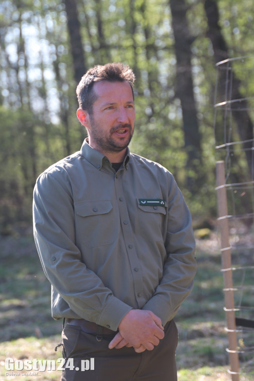 Sadzenie drzew w Lesie Dobrych Wspomnień