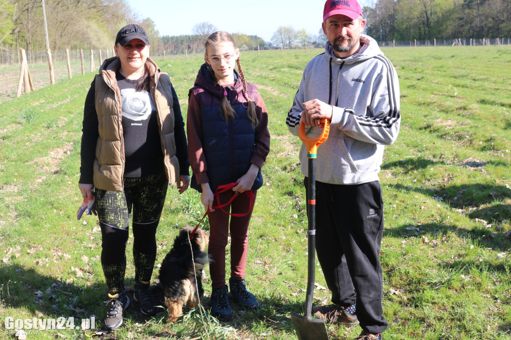 Sadzenie drzew w Lesie Dobrych Wspomnień
