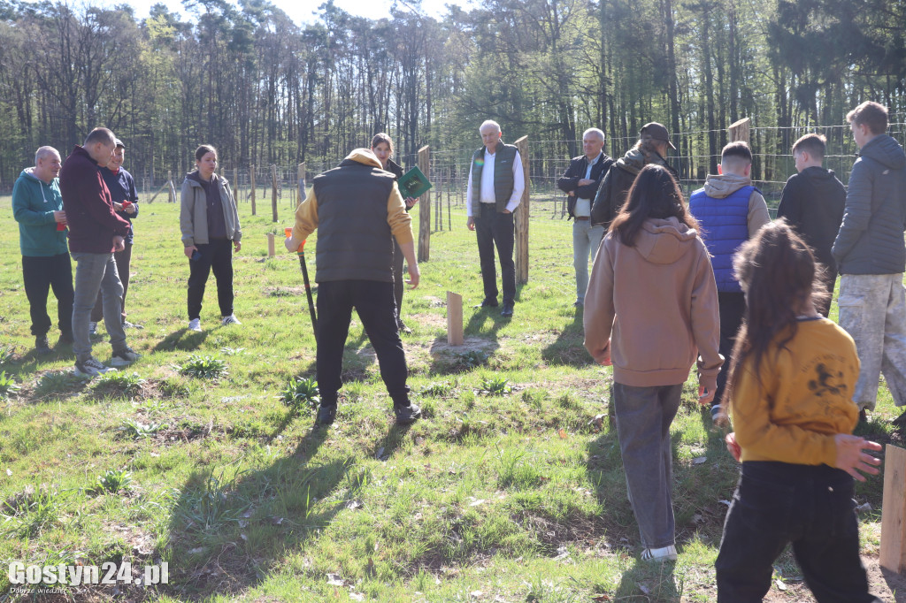 Sadzenie drzew w Lesie Dobrych Wspomnień
