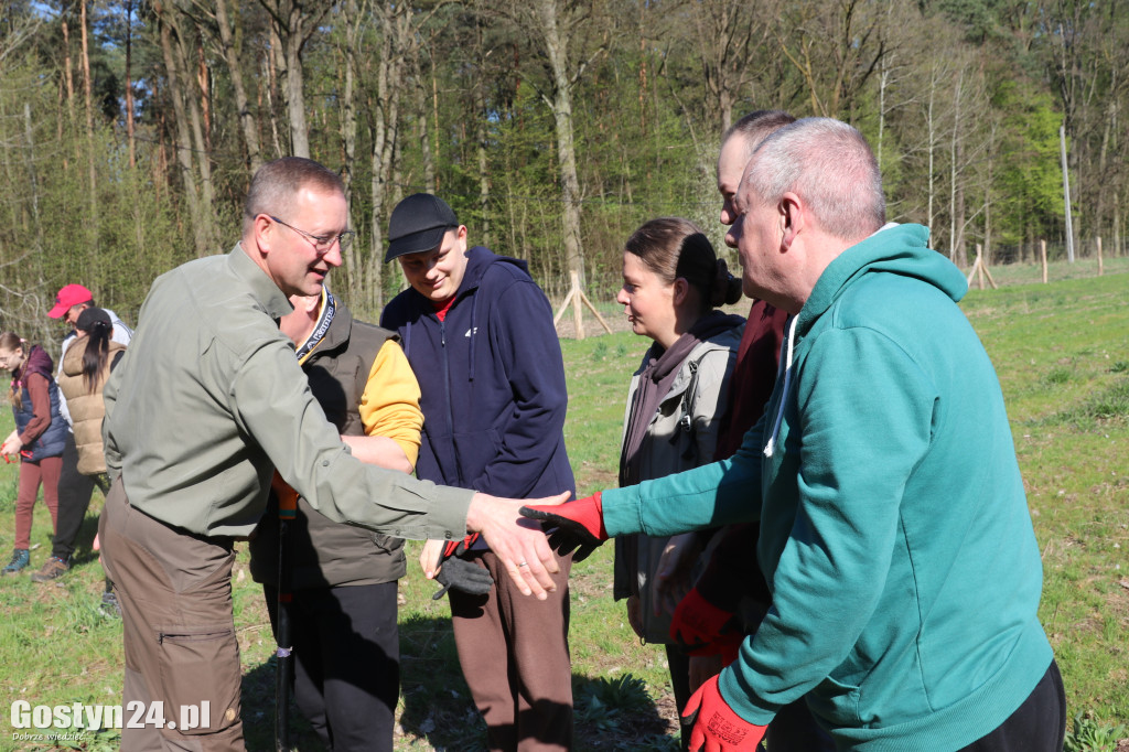 Sadzenie drzew w Lesie Dobrych Wspomnień