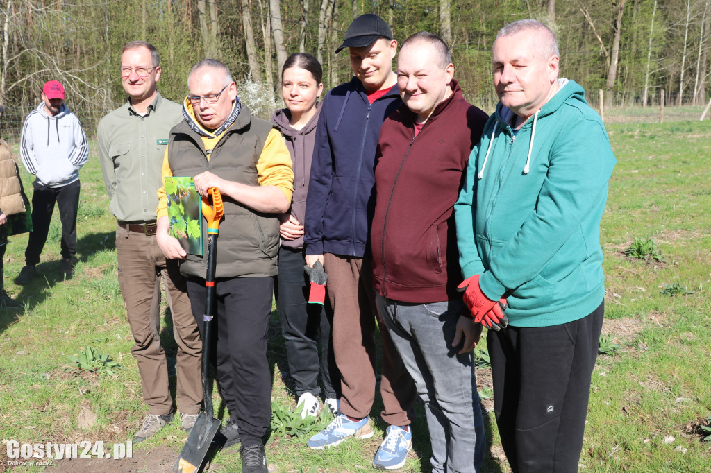 Sadzenie drzew w Lesie Dobrych Wspomnień