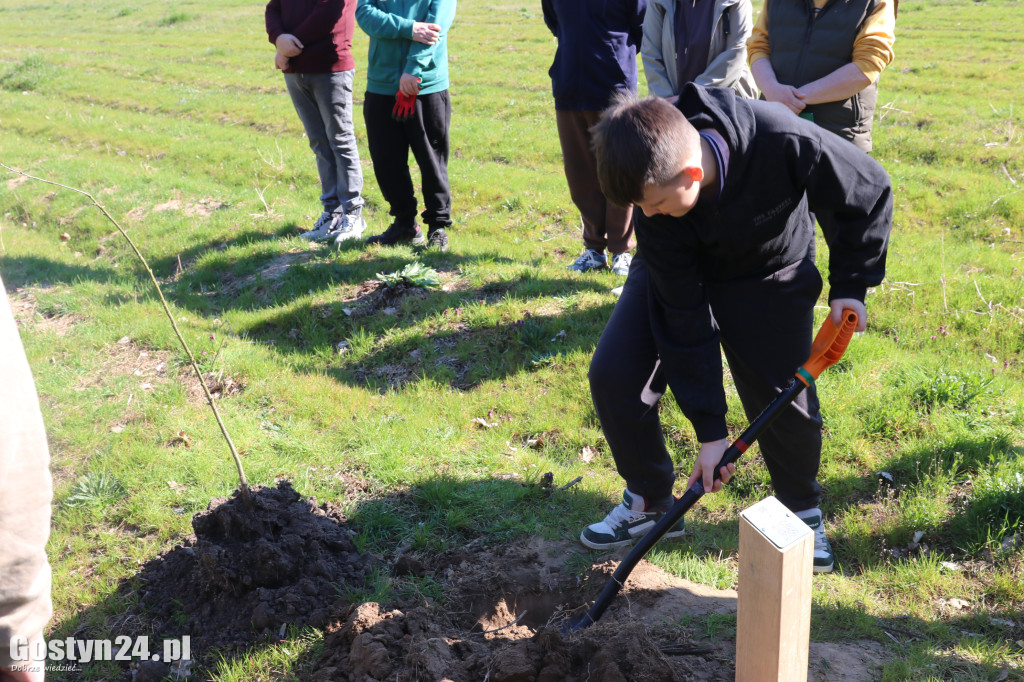 Sadzenie drzew w Lesie Dobrych Wspomnień