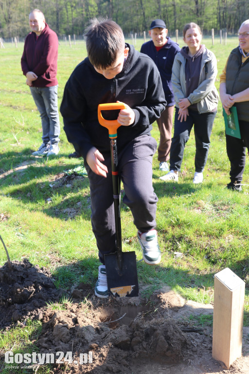 Sadzenie drzew w Lesie Dobrych Wspomnień