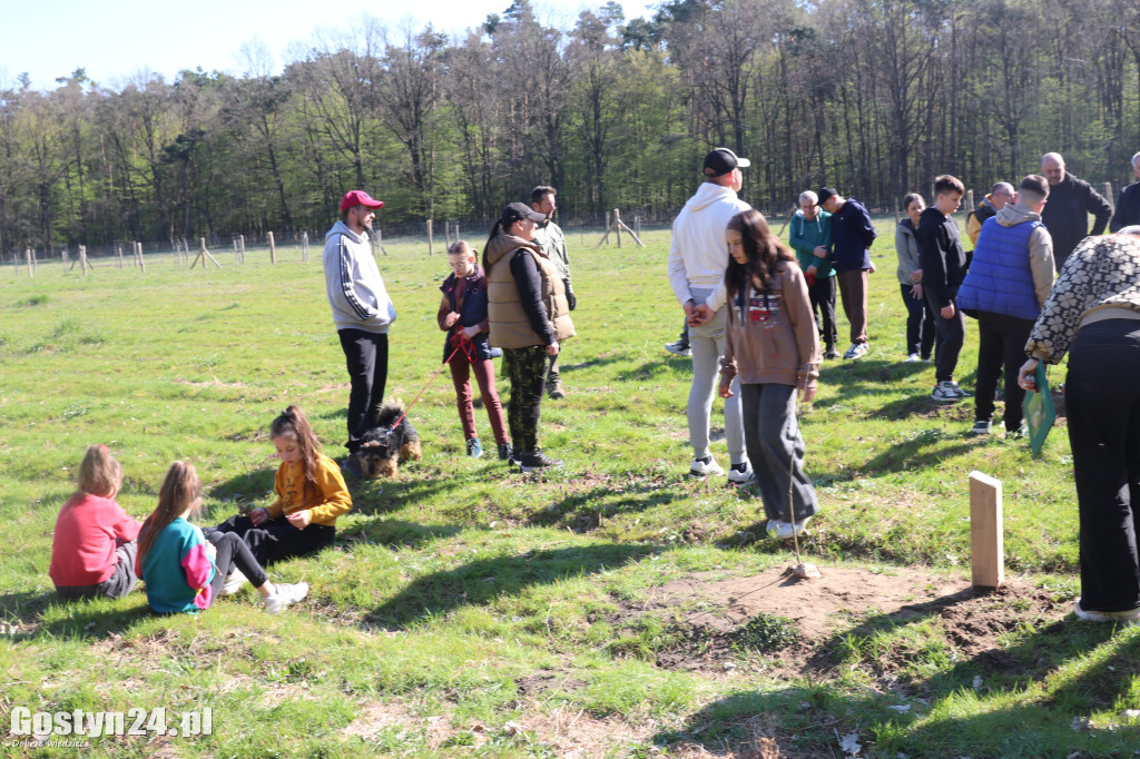 Sadzenie drzew w Lesie Dobrych Wspomnień