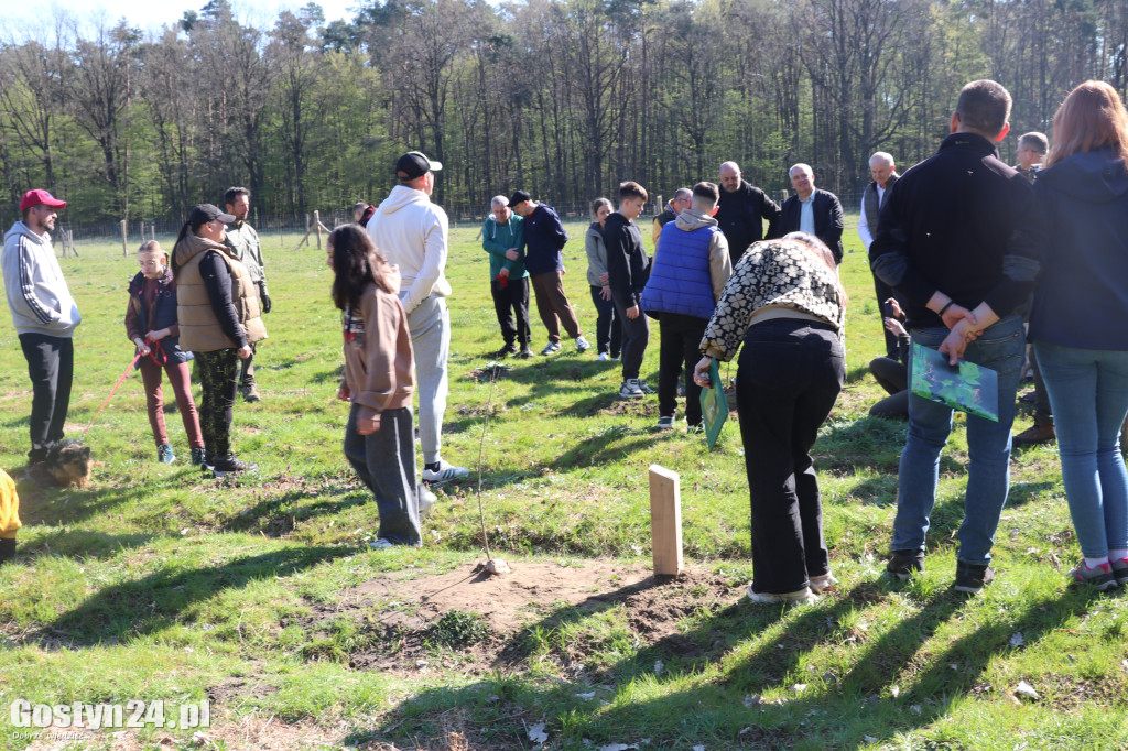 Sadzenie drzew w Lesie Dobrych Wspomnień