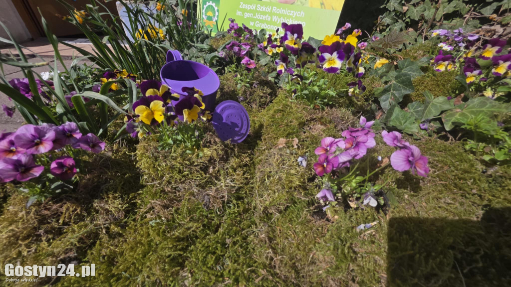 Drzwi Otwarte w ZSR w Grabonogu