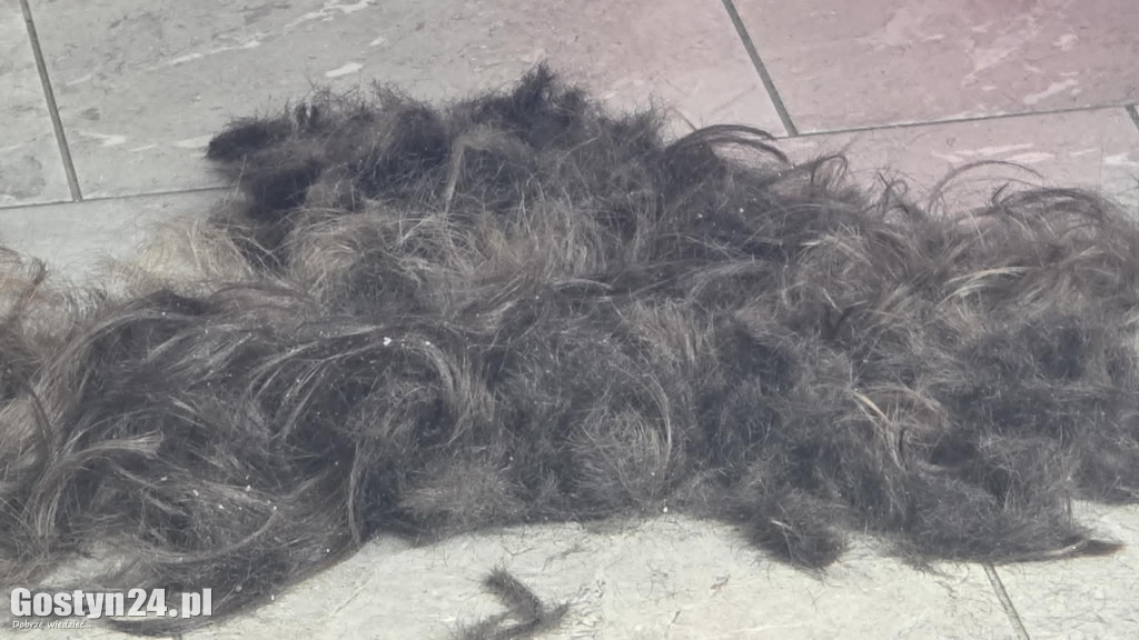 ZSZ Gostyń włączyli się w ogólnopolską akcję