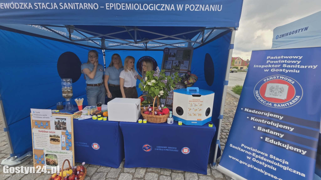 Zielone Miasteczko na gostyńskim rynku