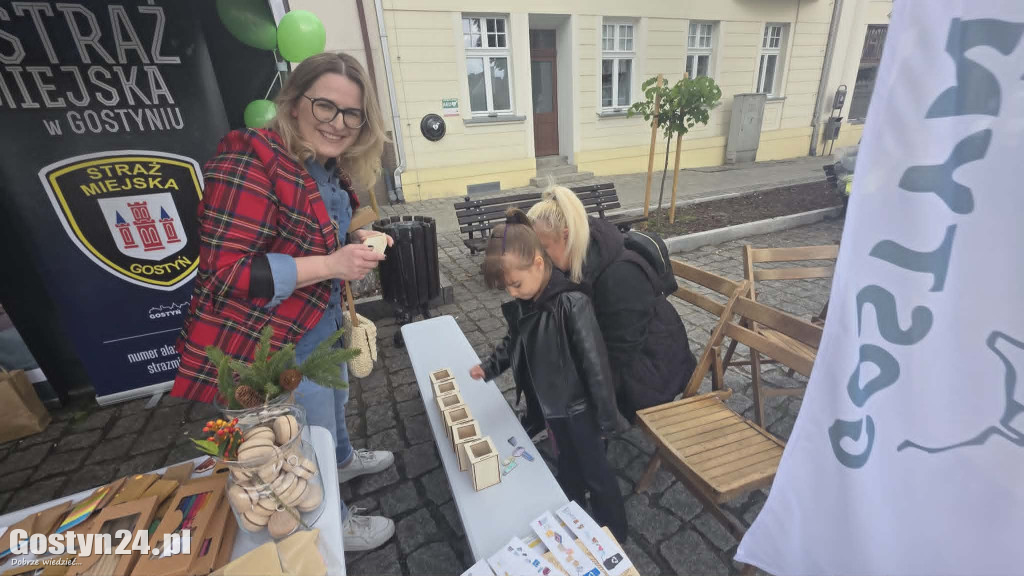 Zielone Miasteczko na gostyńskim rynku