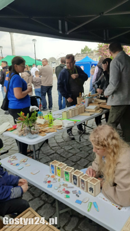 Zielone Miasteczko na gostyńskim rynku