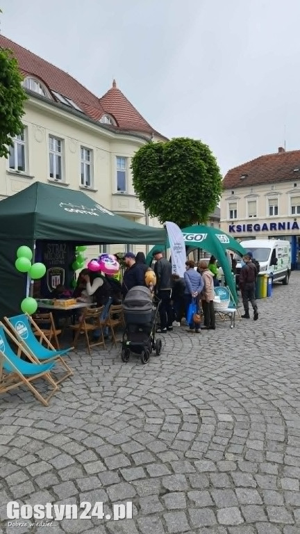 Zielone Miasteczko na gostyńskim rynku