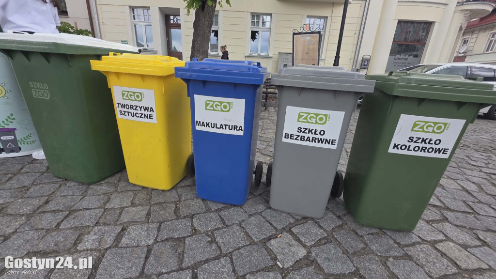 Zielone Miasteczko na gostyńskim rynku