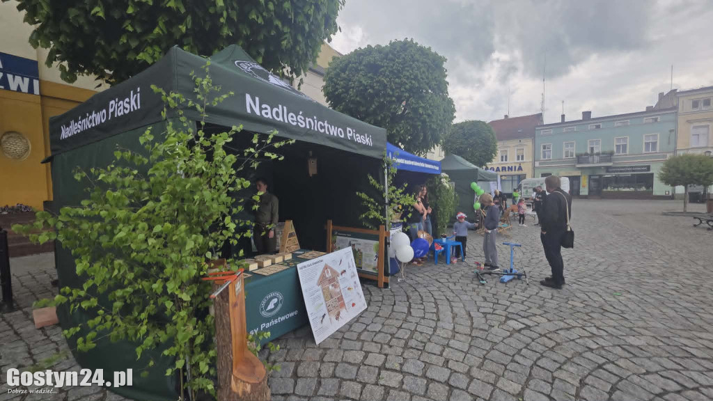 Zielone Miasteczko na gostyńskim rynku
