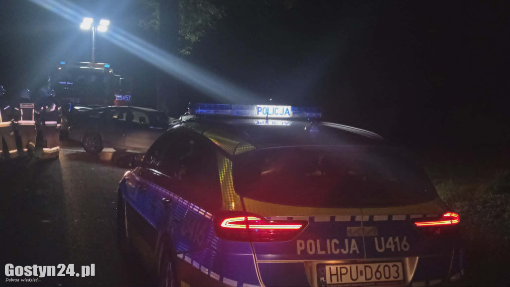 Pijany kierowca uderzył w drzewa
