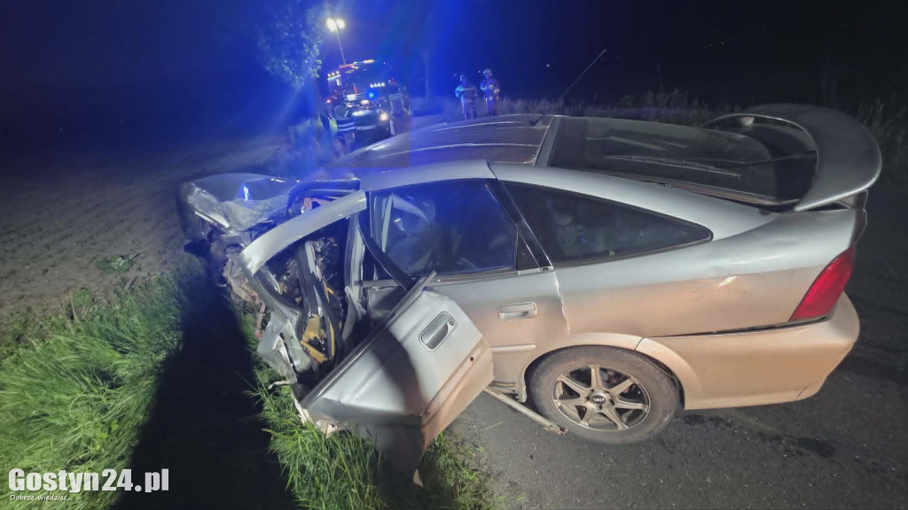 Pijany kierowca uderzył w drzewa