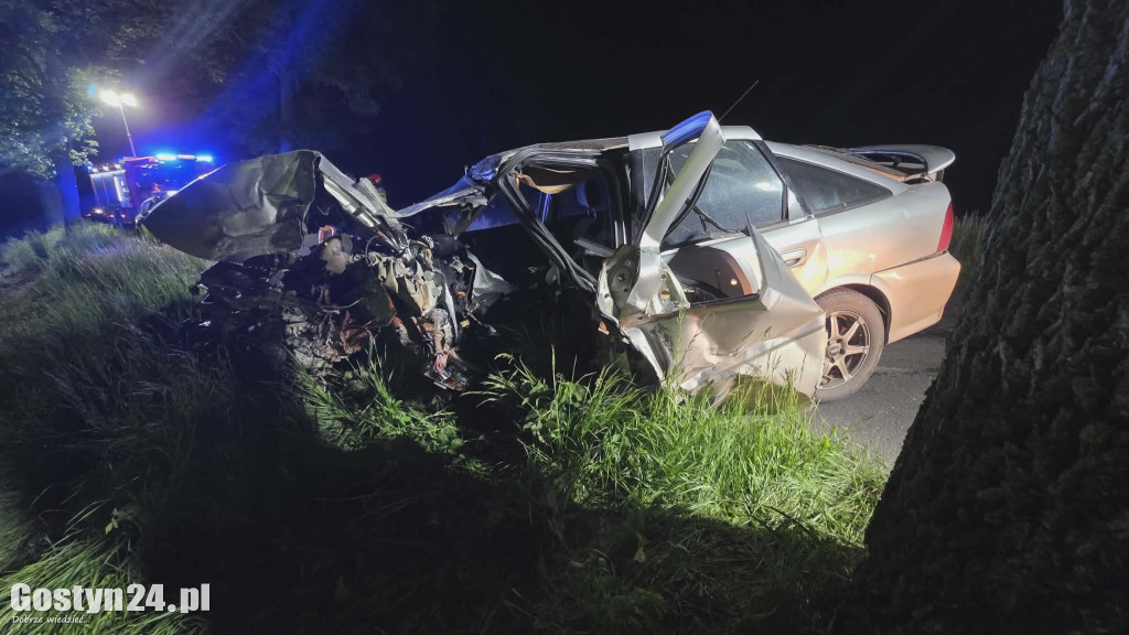 Pijany kierowca uderzył w drzewa
