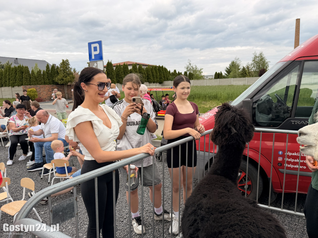 Lawendowy Piknik Rodzinny w Krobi