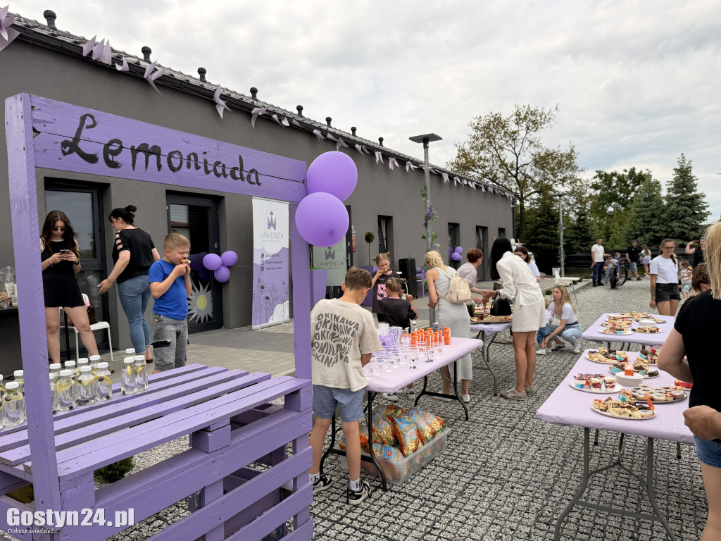 Lawendowy Piknik Rodzinny w Krobi