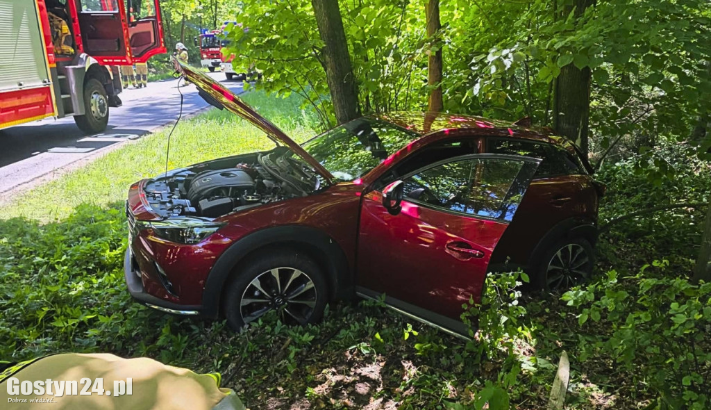 Na drodze Siedlec -Pępowo auto wypadło z drogi i uderzyła w drzewo