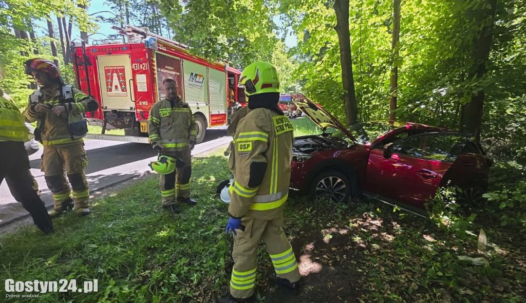 Na drodze Siedlec -Pępowo auto wypadło z drogi i uderzyła w drzewo