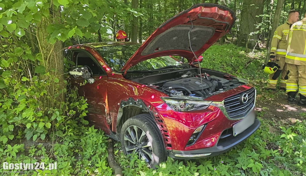 Na drodze Siedlec -Pępowo auto wypadło z drogi i uderzyła w drzewo