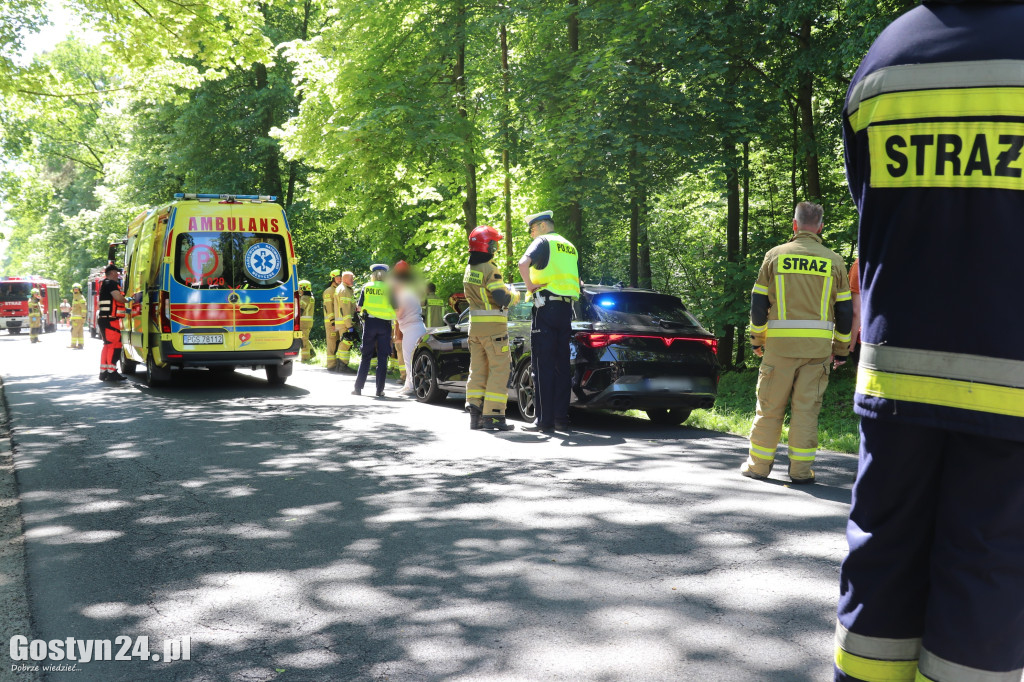 Na drodze Siedlec -Pępowo auto wypadło z drogi i uderzyła w drzewo