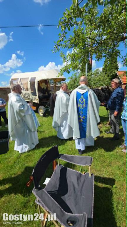 Piąta Pielgrzymka Konna i Zaprzęgów Konnych na Świętą Górę