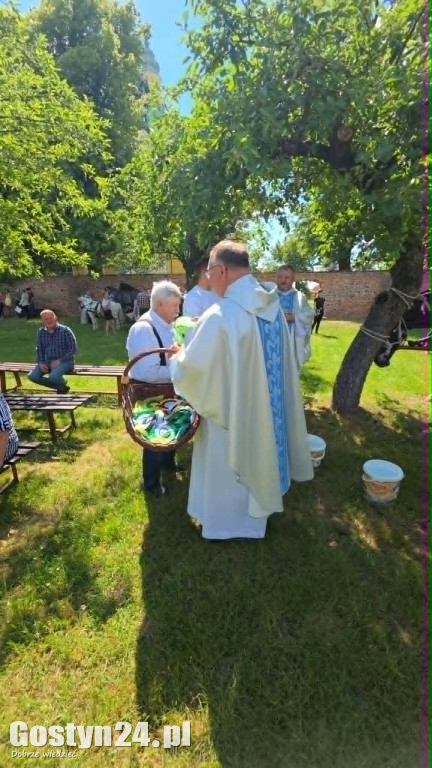 Piąta Pielgrzymka Konna i Zaprzęgów Konnych na Świętą Górę