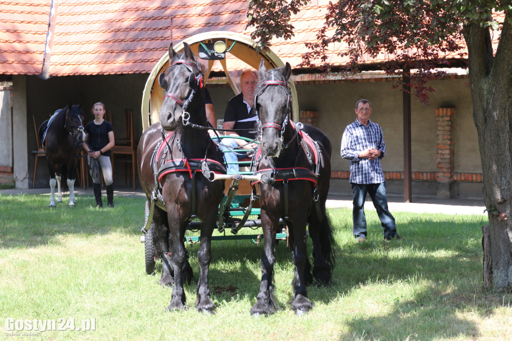 Piąta Pielgrzymka Konna i Zaprzęgów Konnych na Świętą Górę