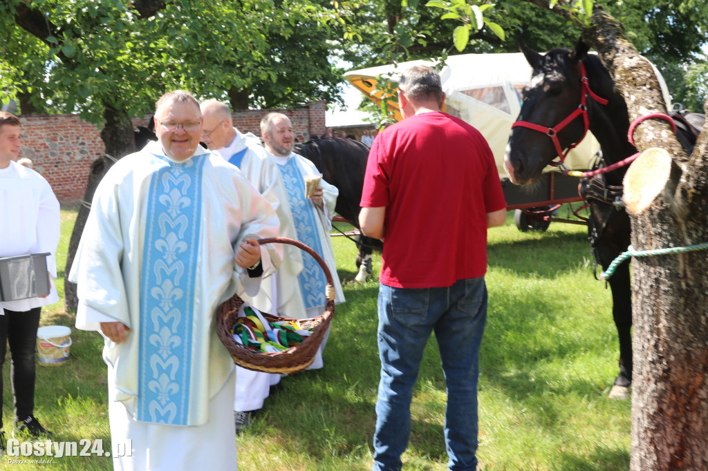 Piąta Pielgrzymka Konna i Zaprzęgów Konnych na Świętą Górę