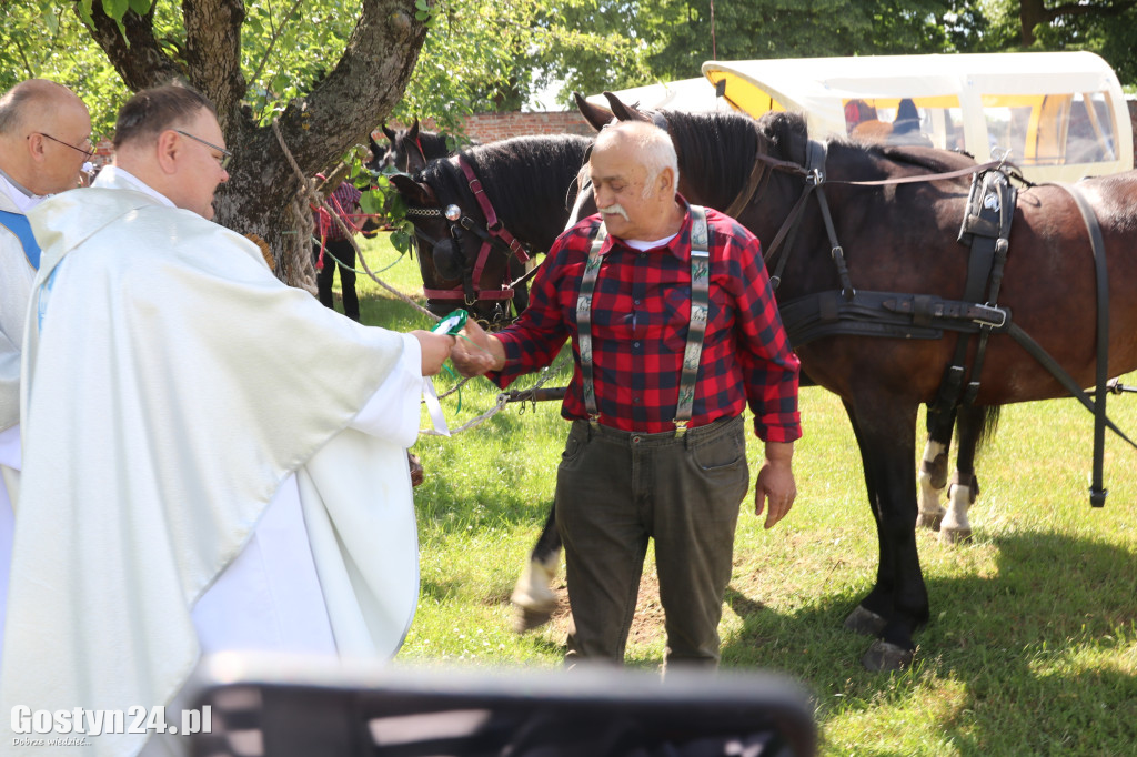Piąta Pielgrzymka Konna i Zaprzęgów Konnych na Świętą Górę
