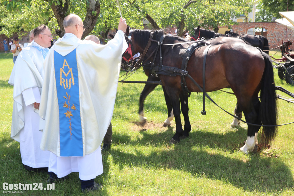 Piąta Pielgrzymka Konna i Zaprzęgów Konnych na Świętą Górę