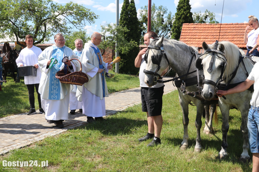 Piąta Pielgrzymka Konna i Zaprzęgów Konnych na Świętą Górę