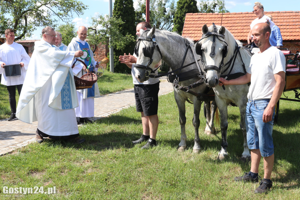 Piąta Pielgrzymka Konna i Zaprzęgów Konnych na Świętą Górę