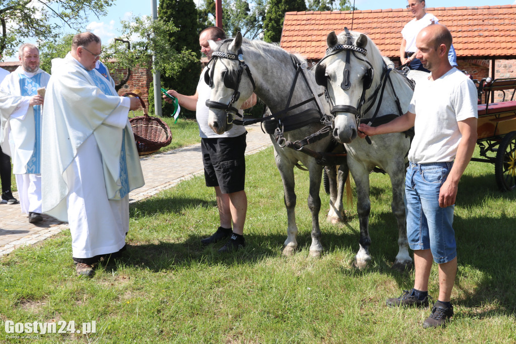 Piąta Pielgrzymka Konna i Zaprzęgów Konnych na Świętą Górę