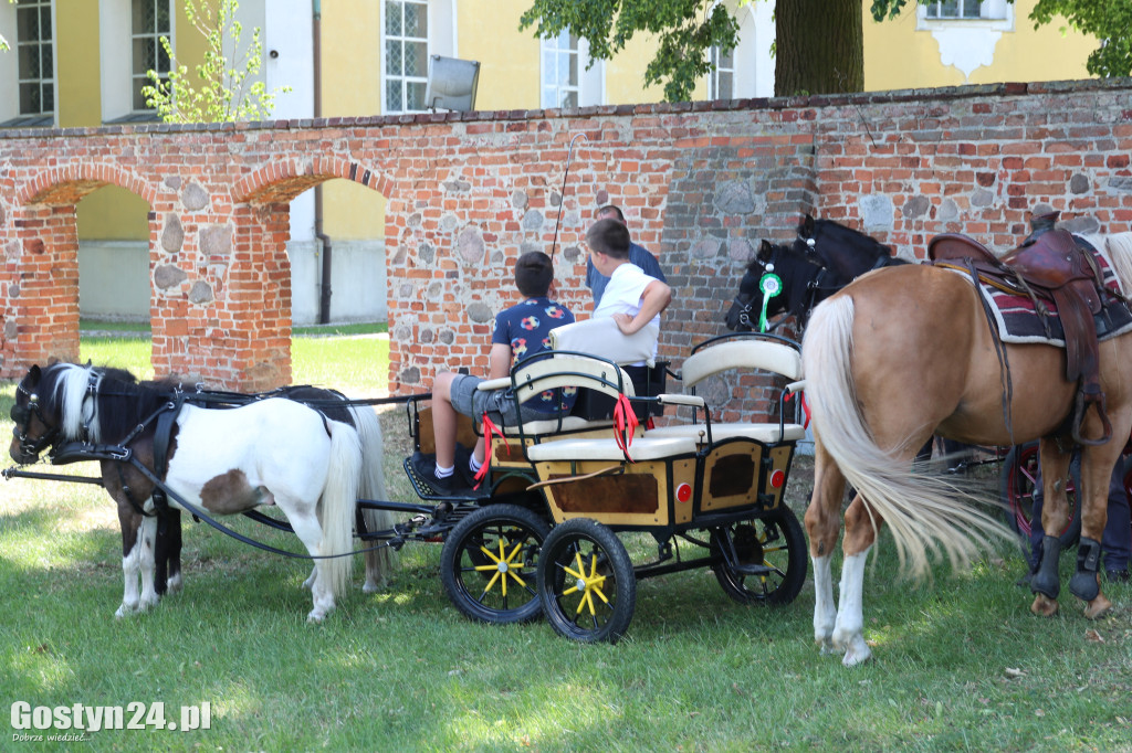 Piąta Pielgrzymka Konna i Zaprzęgów Konnych na Świętą Górę