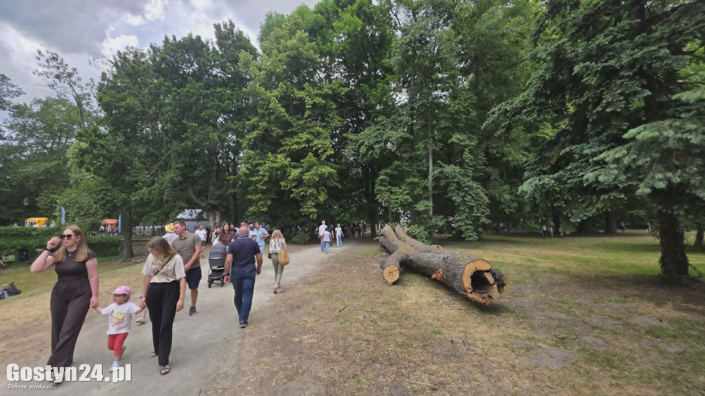 Drugi dzień Rokosowo Horse Show