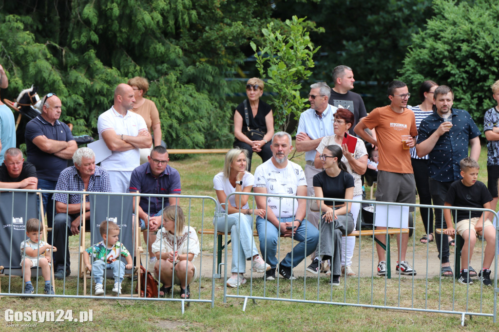 Drugi dzień Rokosowo Horse Show