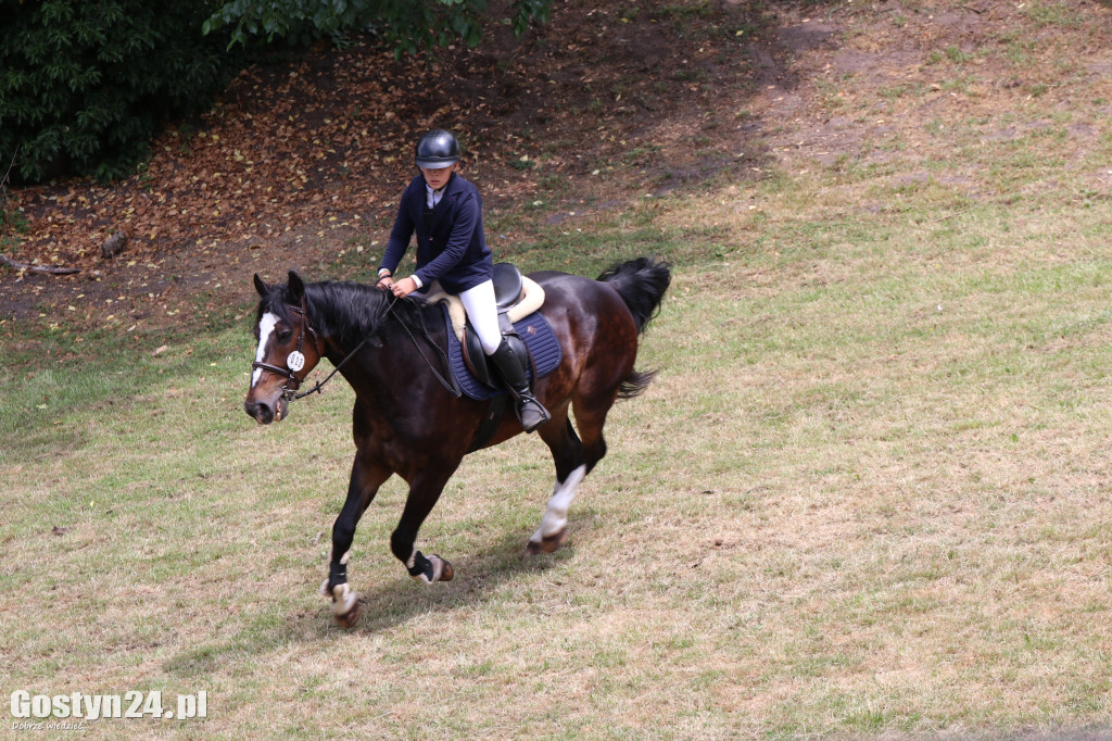 Drugi dzień Rokosowo Horse Show