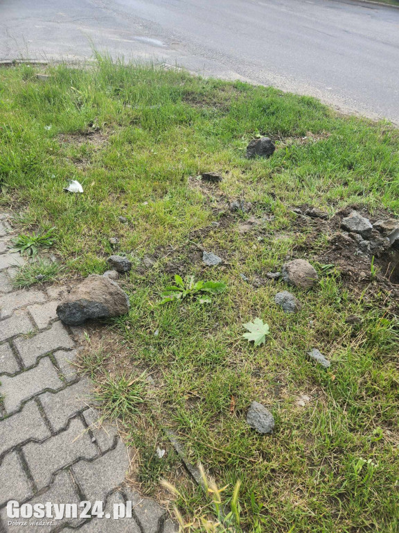 Skasowany znak i zniszczony żywopłot w Strzelcach Wielkich