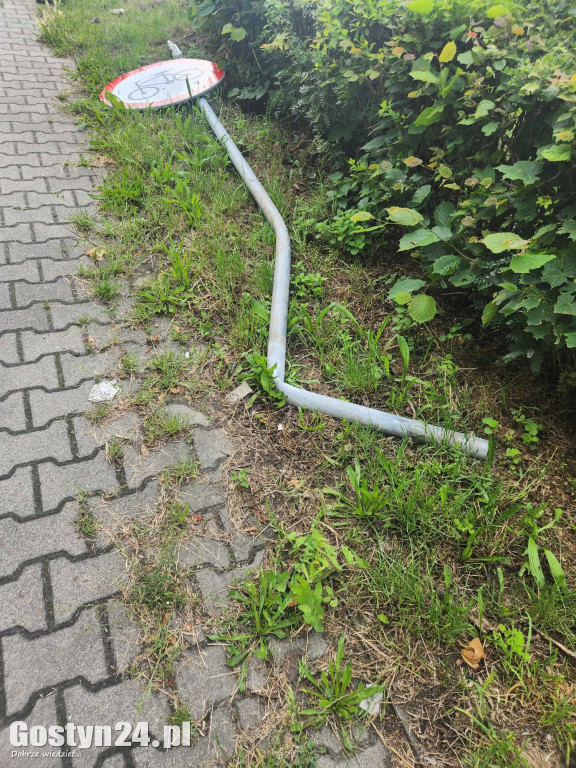 Skasowany znak i zniszczony żywopłot w Strzelcach Wielkich