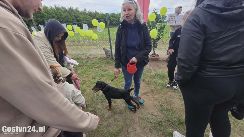 Drzwi Otwarte w Przytulisku dla Psów w Poniecu