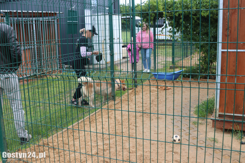 Drzwi Otwarte w Przytulisku dla Psów w Poniecu